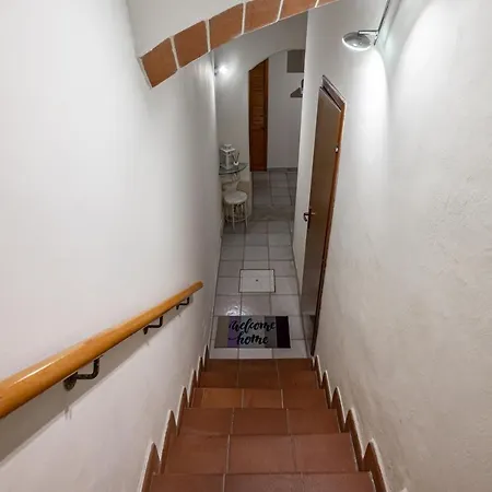 And San Marco Cozy 公寓 佛罗伦萨
